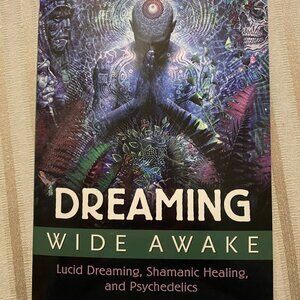 WIDE AWAKE DREAMING BY DAVID JAY BROWN